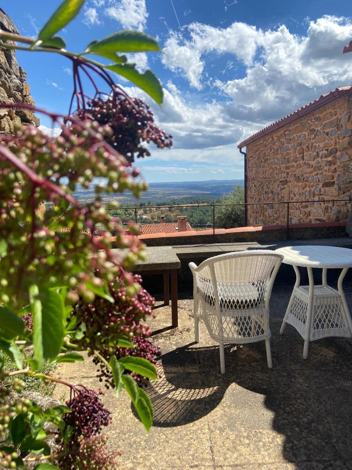 Casa Da Cisterna Konuk evi Figueira de Castelo Rodrigo Dış mekan fotoğraf