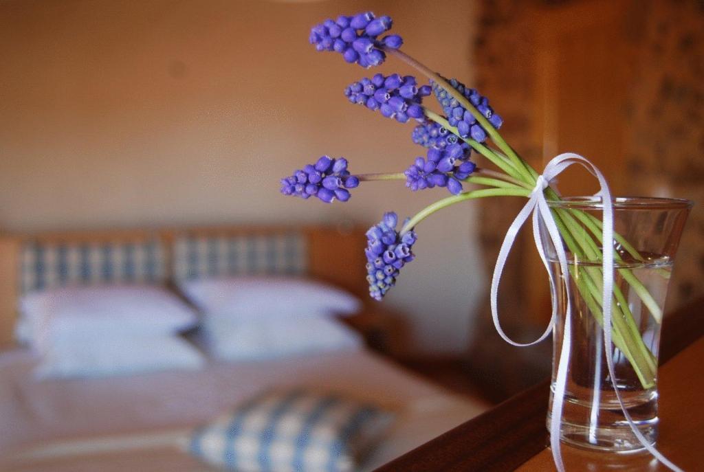 Casa Da Cisterna Konuk evi Figueira de Castelo Rodrigo Dış mekan fotoğraf